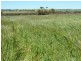 Billacabella Farm, Billacabella – Doodenaning Road, Quairading WA 6383