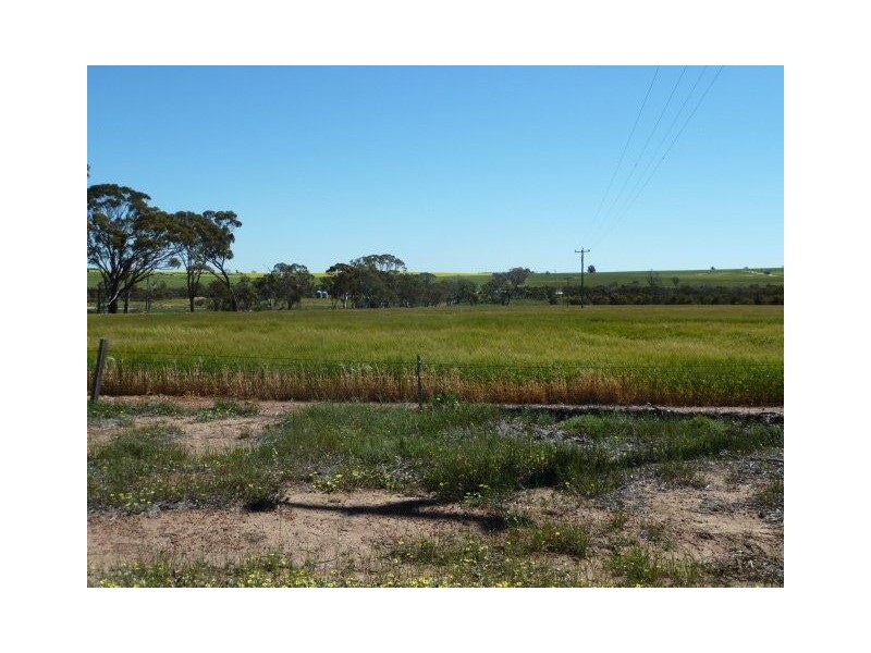 Billacabella Farm, Billacabella – Doodenaning Road, Quairading WA 6383