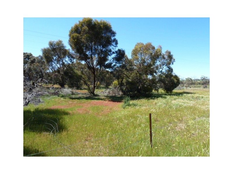 Billacabella Farm, Billacabella – Doodenaning Road, Quairading WA 6383