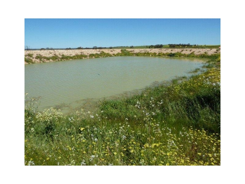 Billacabella Farm, Billacabella – Doodenaning Road, Quairading WA 6383