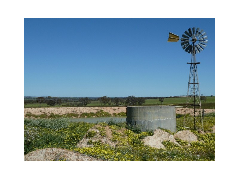 Billacabella Farm, Billacabella – Doodenaning Road, Quairading WA 6383