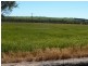BIllacabella Homestead, Billacabella-Doodenaning Road, Quairading WA 6383