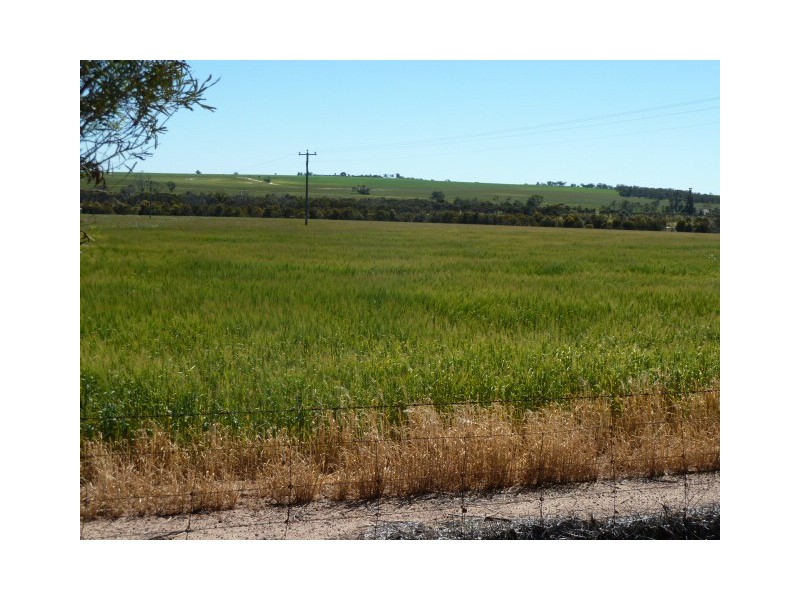 BIllacabella Homestead, Billacabella-Doodenaning Road, Quairading WA 6383