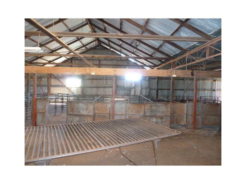BIllacabella Homestead, Billacabella-Doodenaning Road, Quairading WA 6383