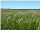 BIllacabella Homestead, Billacabella-Doodenaning Road, Quairading WA 6383