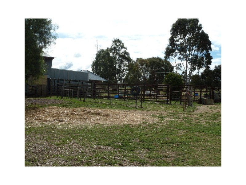 33 Ashton Street, Quairading WA 6383