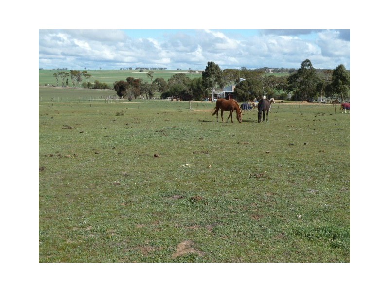 33 Ashton Street, Quairading WA 6383