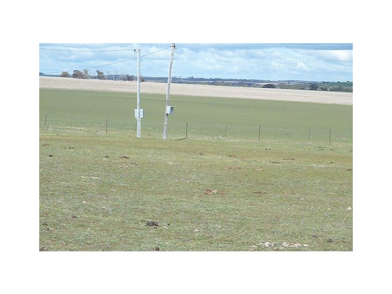 33 Ashton Street, Quairading WA 6383