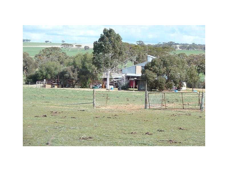 33 Ashton Street, Quairading WA 6383