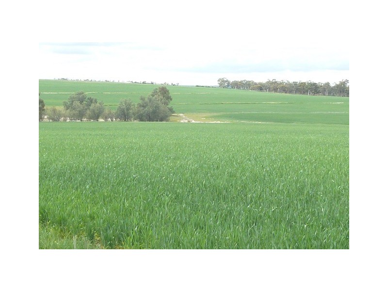 ‘Mount Mac’ Kokeby East Road, Beverley WA 6304