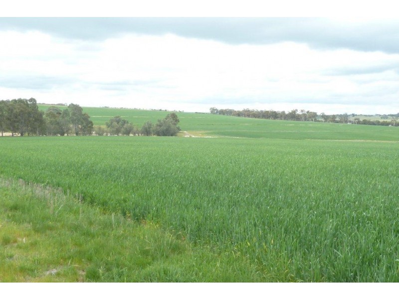 ‘Mount Mac’ Kokeby East Road, Beverley WA 6304