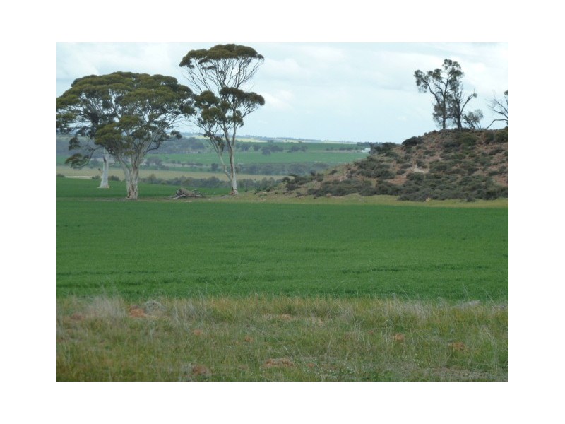 ‘Mount Mac’ Kokeby East Road, Beverley WA 6304