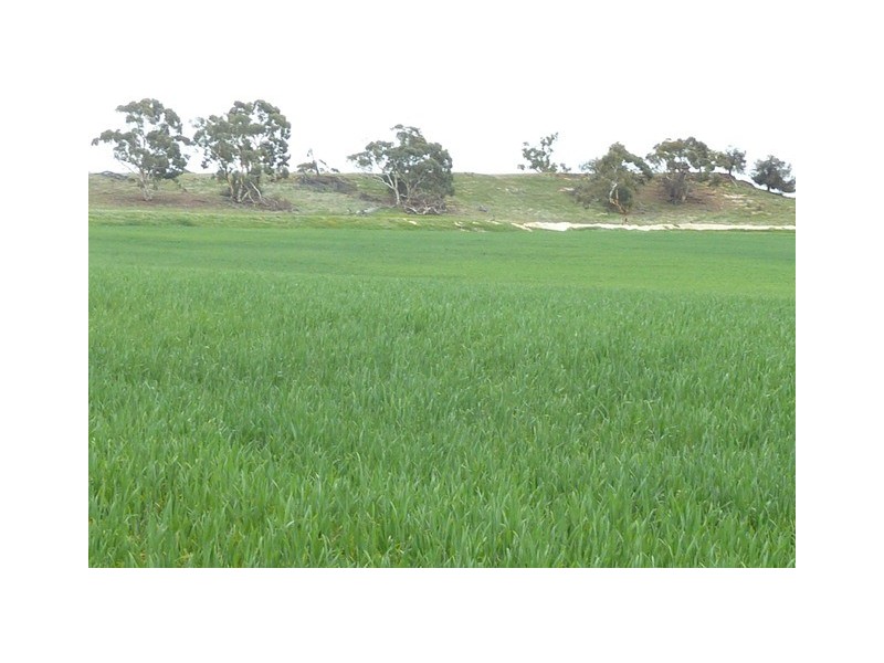 ‘Mount Mac’ Kokeby East Road, Beverley WA 6304