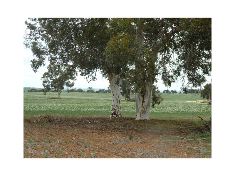 Lot 7875 Kokeby East Road, Beverley WA 6304