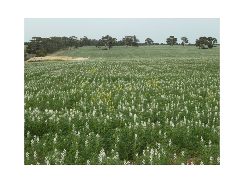 Lot 7875 Kokeby East Road, Beverley WA 6304