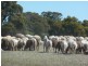 . Maitland Road, Beverley WA 6304