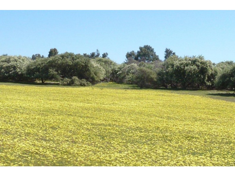 . Maitland Road, Beverley WA 6304