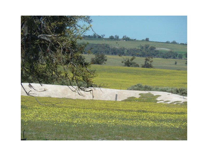 . Maitland Road, Beverley WA 6304