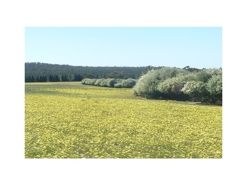 . Maitland Road, Beverley WA 6304