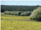 . Maitland Road, Beverley WA 6304