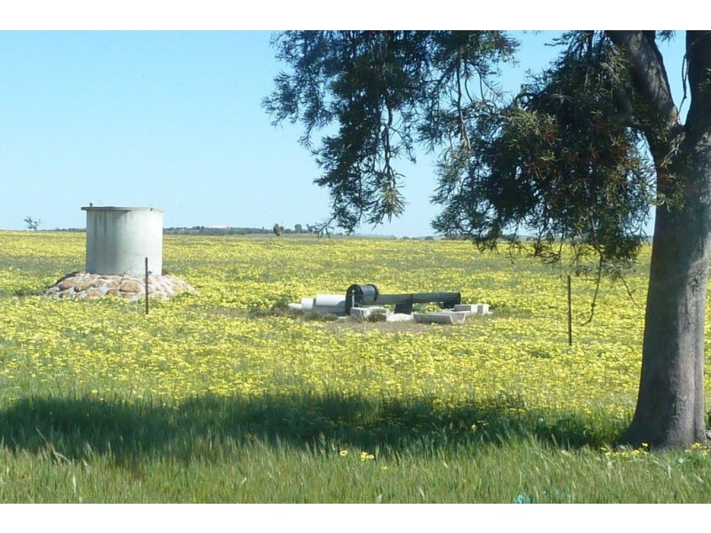 . Maitland Road, Beverley WA 6304