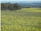 . Maitland Road, Beverley WA 6304