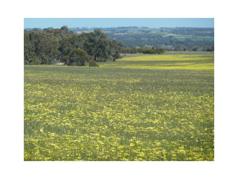 . Maitland Road, Beverley WA 6304