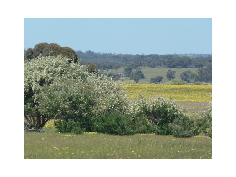 . Maitland Road, Beverley WA 6304