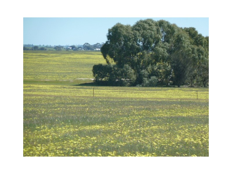 . Maitland Road, Beverley WA 6304