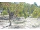 . Maitland Road, Beverley WA 6304
