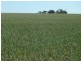 Lot 18724 Doodenanning Mawson Road, Quairading WA 6383
