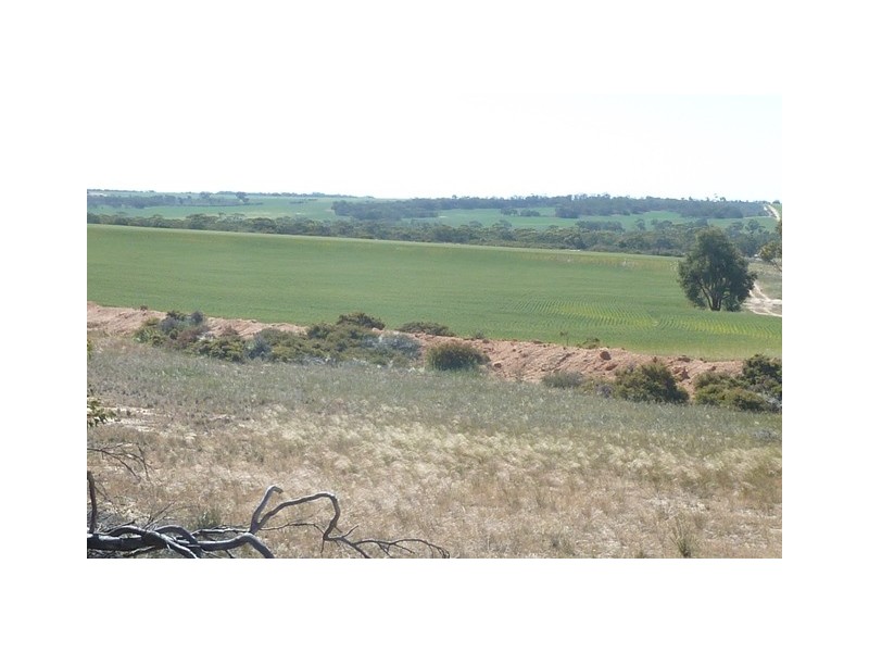 Lot 18724 Doodenanning Mawson Road, Quairading WA 6383