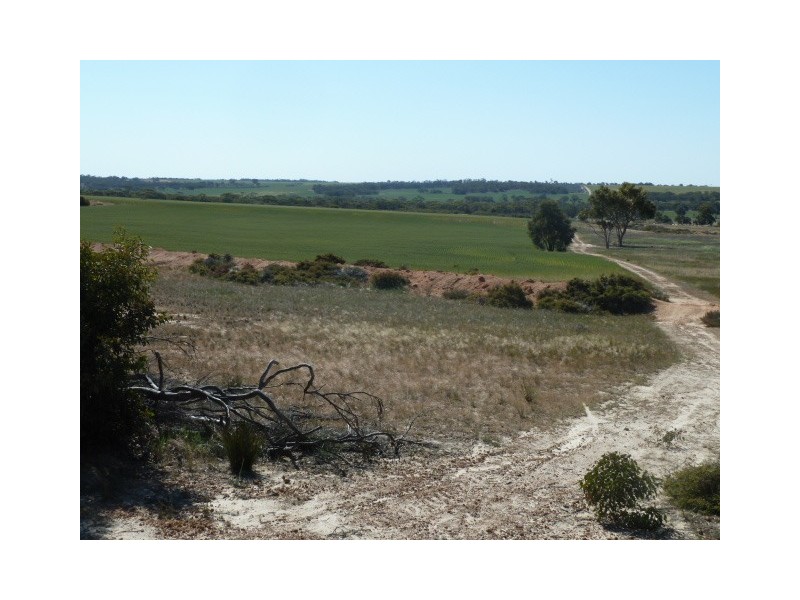 Lot 18724 Doodenanning Mawson Road, Quairading WA 6383