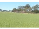 Lot 18724 Doodenanning Mawson Road, Quairading WA 6383