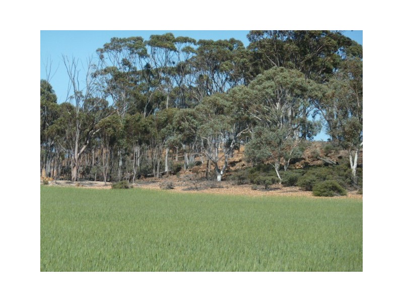 Lot 18724 Doodenanning Mawson Road, Quairading WA 6383