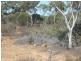 Lot 18724 Doodenanning Mawson Road, Quairading WA 6383