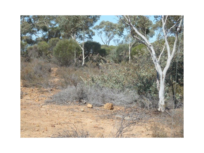 Lot 18724 Doodenanning Mawson Road, Quairading WA 6383