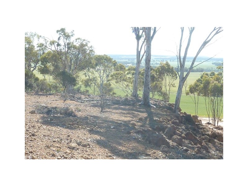 Lot 18724 Doodenanning Mawson Road, Quairading WA 6383