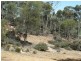 Lot 18724 Doodenanning Mawson Road, Quairading WA 6383
