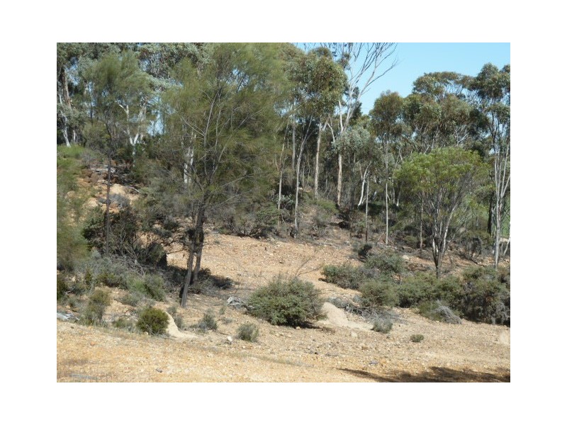 Lot 18724 Doodenanning Mawson Road, Quairading WA 6383