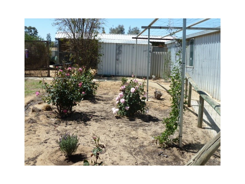 17 Ashton Street, Quairading WA 6383