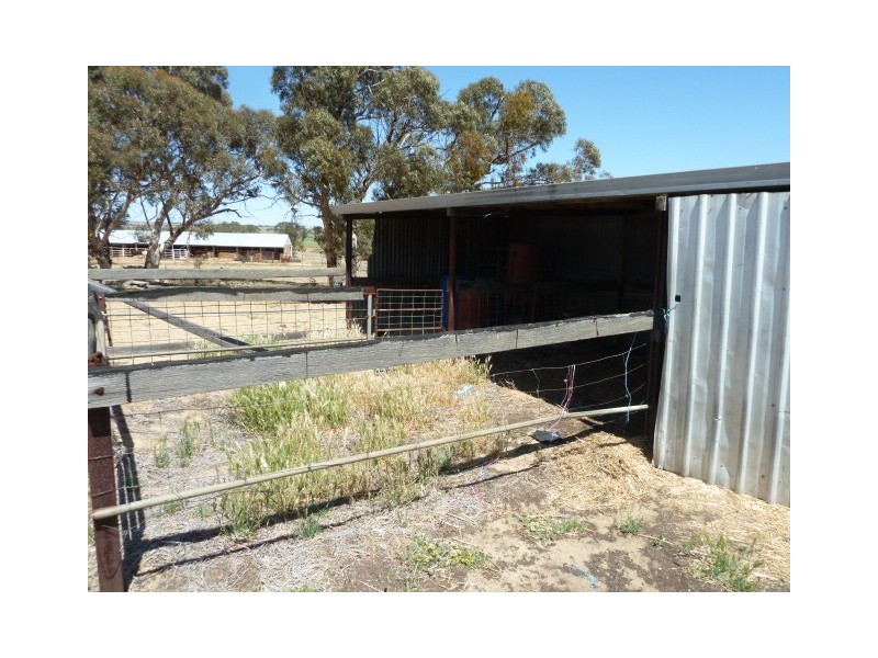 17 Ashton Street, Quairading WA 6383