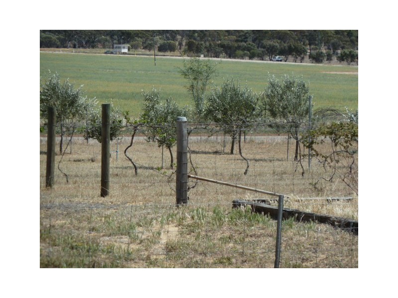 17 Ashton Street, Quairading WA 6383