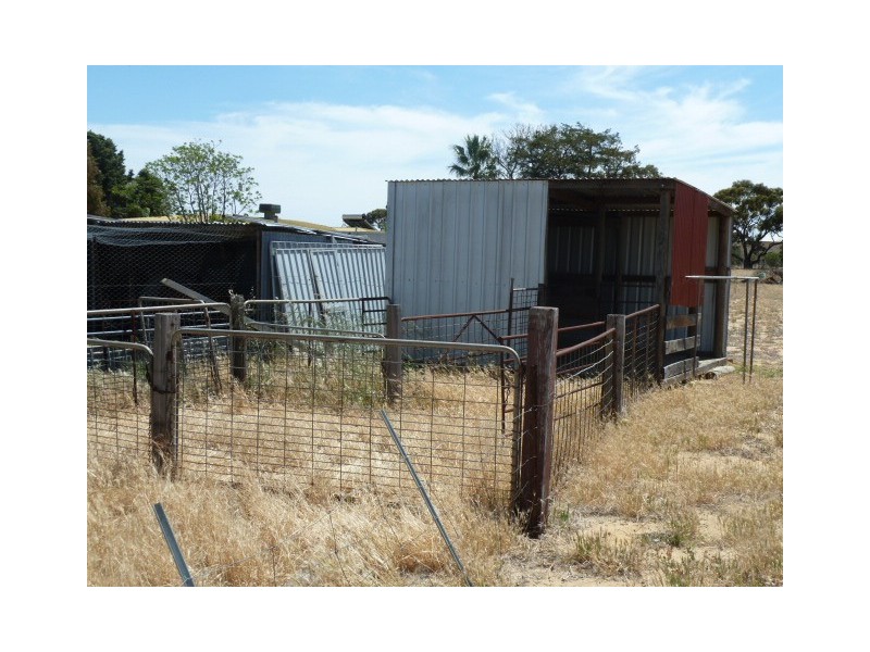 17 Ashton Street, Quairading WA 6383