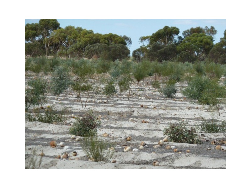 Lot 23435 Ewerts Road, Beverley WA 6304