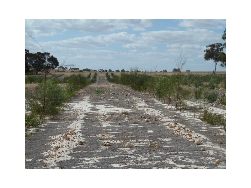 Lot 23435 Ewerts Road, Beverley WA 6304