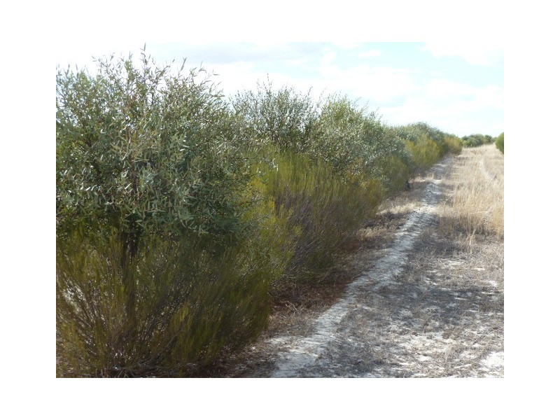 Lot 23435 Ewerts Road, Beverley WA 6304