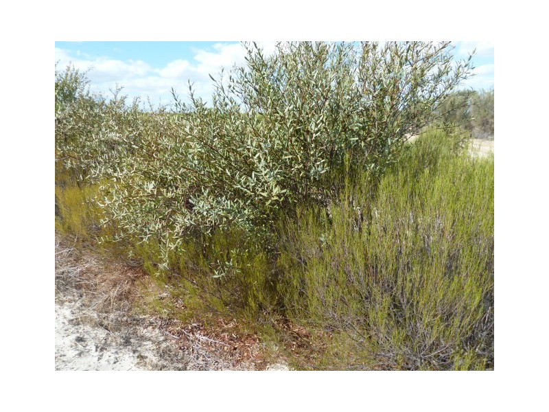 Lot 23435 Ewerts Road, Beverley WA 6304