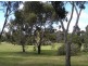 Tatura VIC 3616