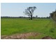 Tatura VIC 3616